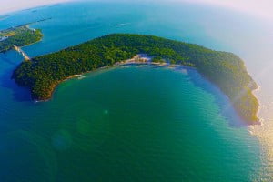 EDM Island