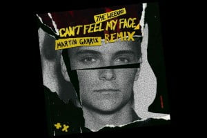 we want edm martin garrix